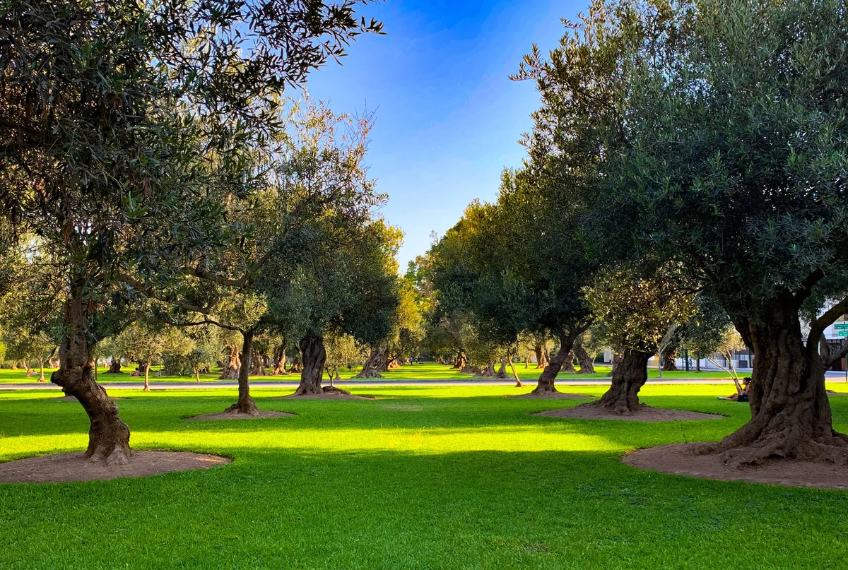 Princess Antoinette Park view 1