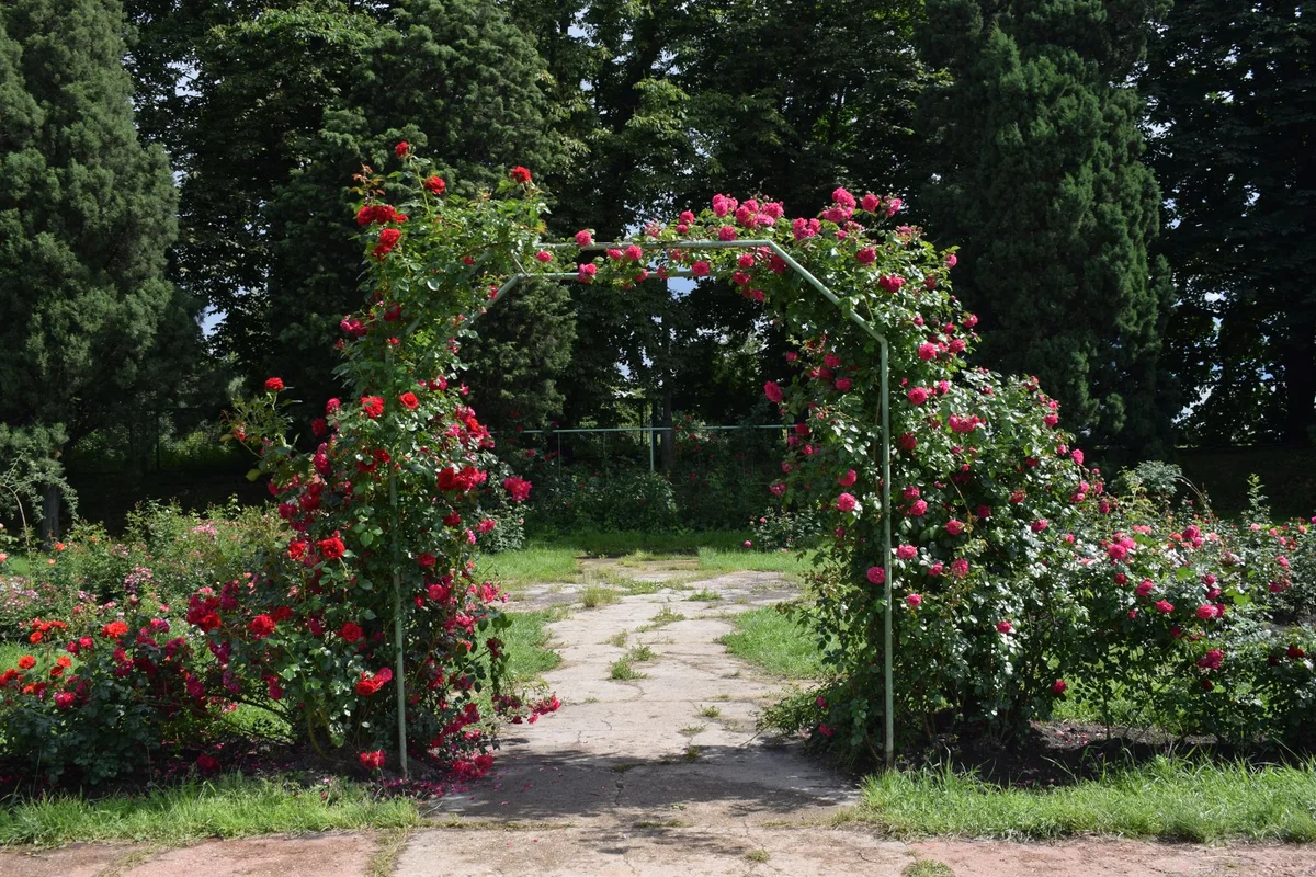Princess Grace Rose Garden view 2