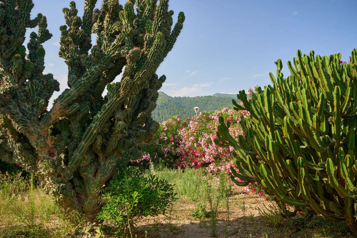 Saint Martin Gardens view 1