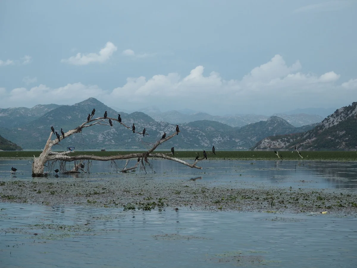 Lake Skadar National Park view 2