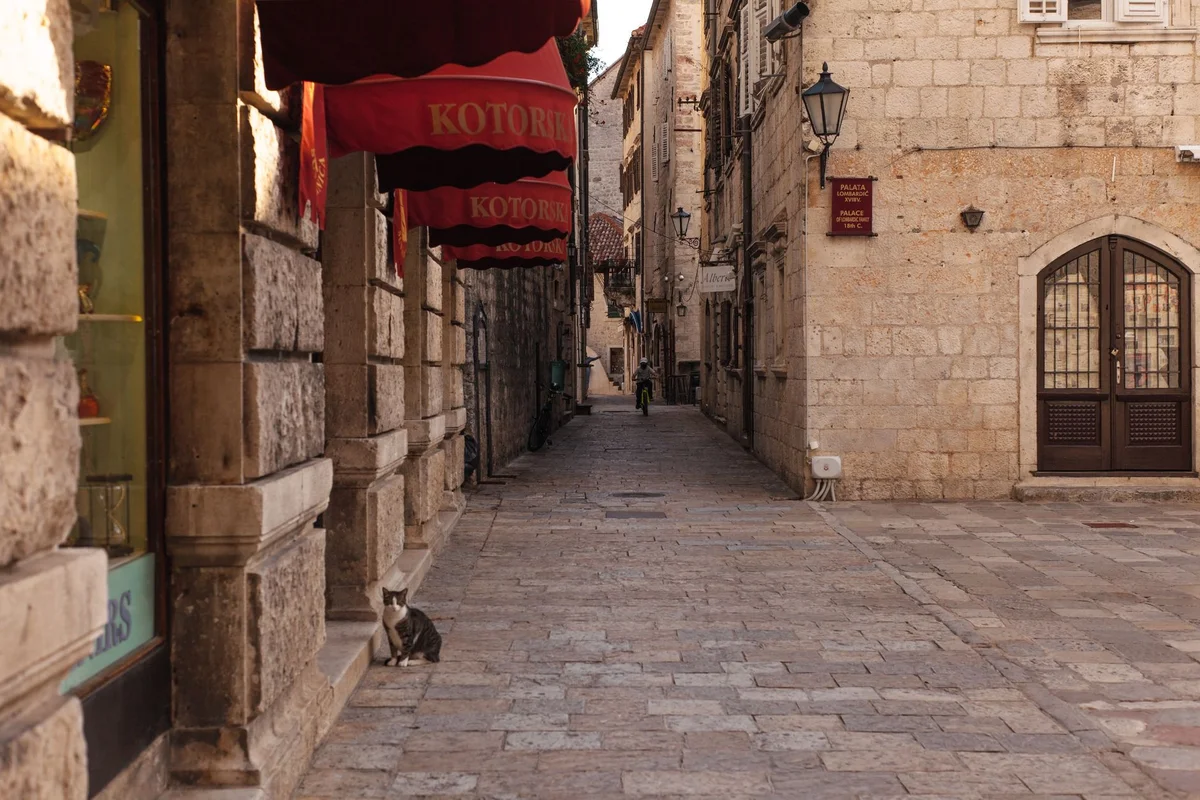 Njegoševa Street view 2