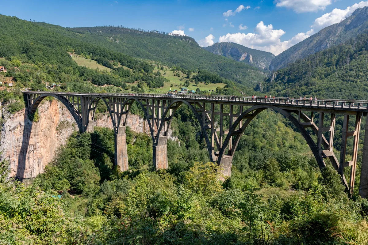 Đurđevića Tara Bridge view 1