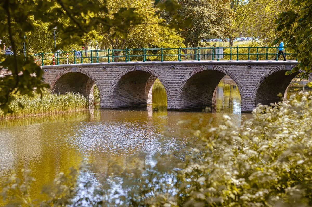 Oosterpark feature
