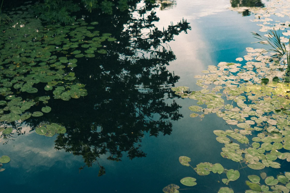 Vondelpark view 2