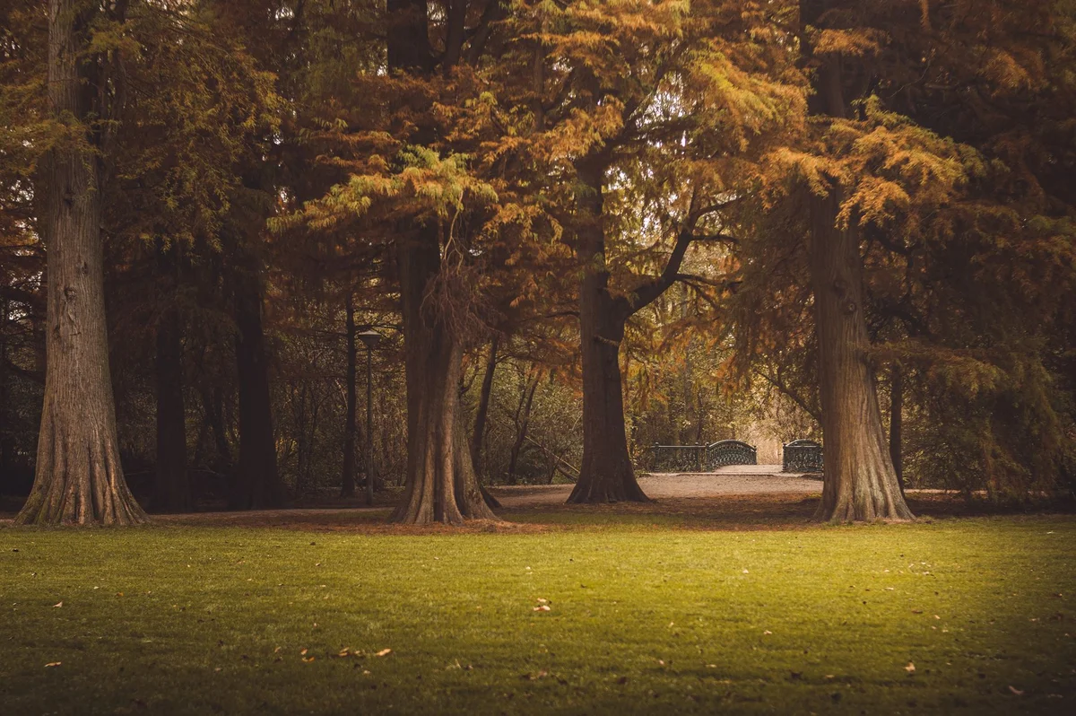 Westerpark view 1