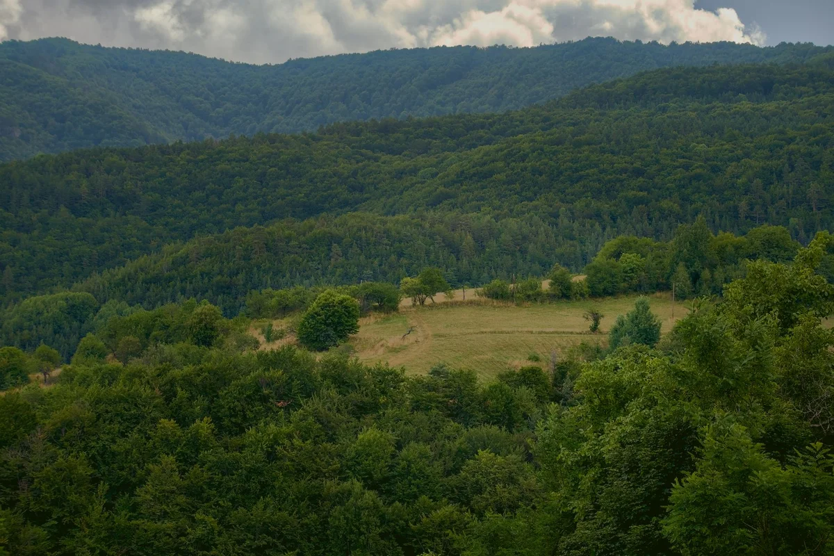 Saint Jovan Bigorski Monastery view 2