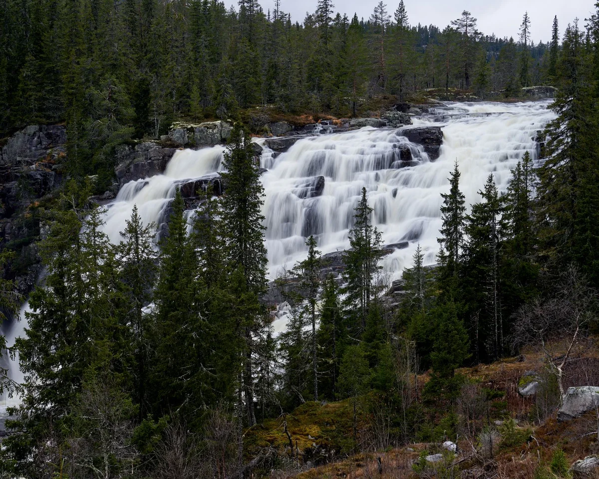 Akerselva River view 2