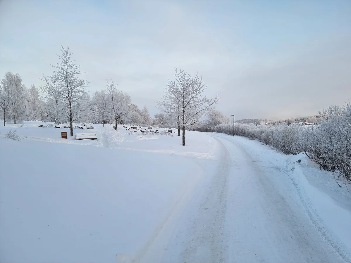 Oslo Botanical Garden view 2