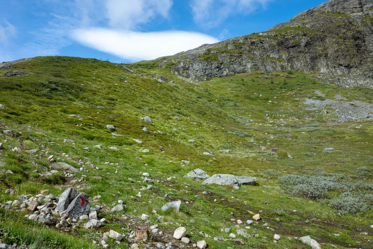 Flåmsbana view 2