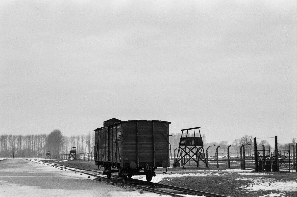 Auschwitz-Birkenau Memorial and Museum feature