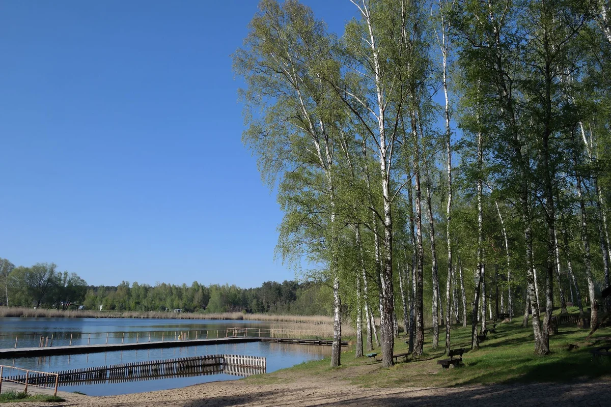 Łazienki Park view 2