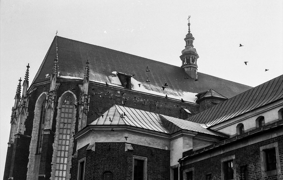 Mariacki Church Krakow feature