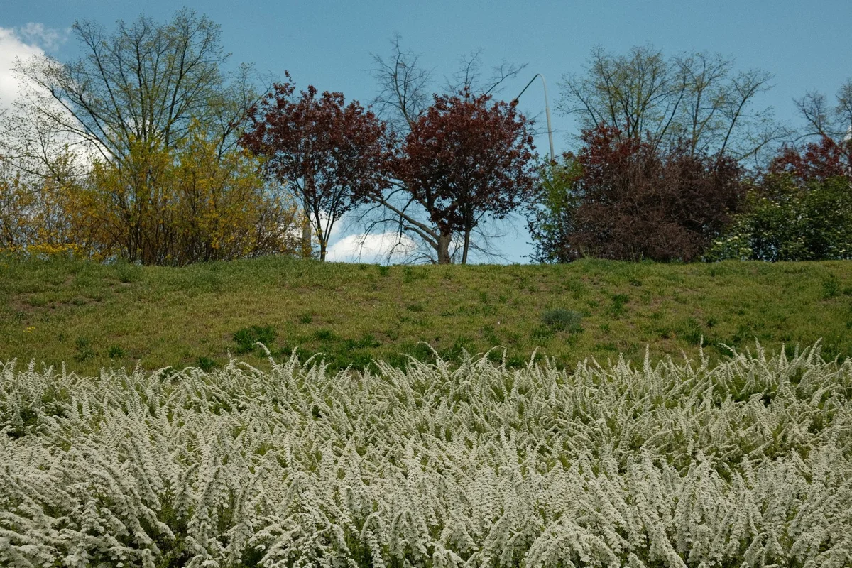 Planty Park view 2