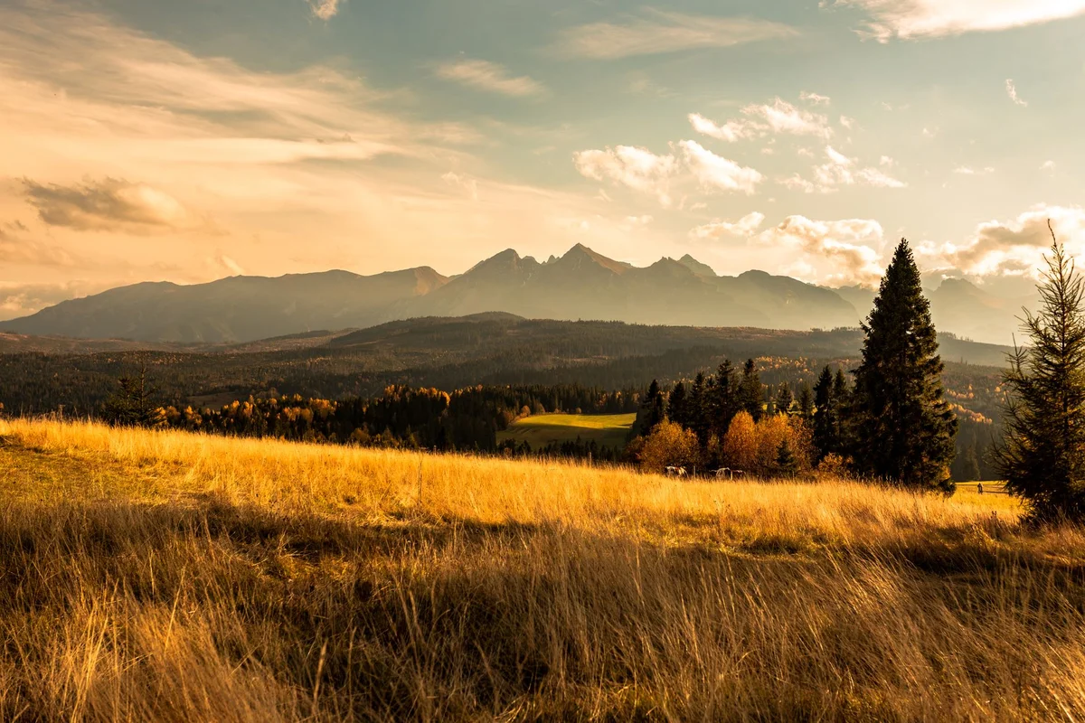 Zakopane view 1