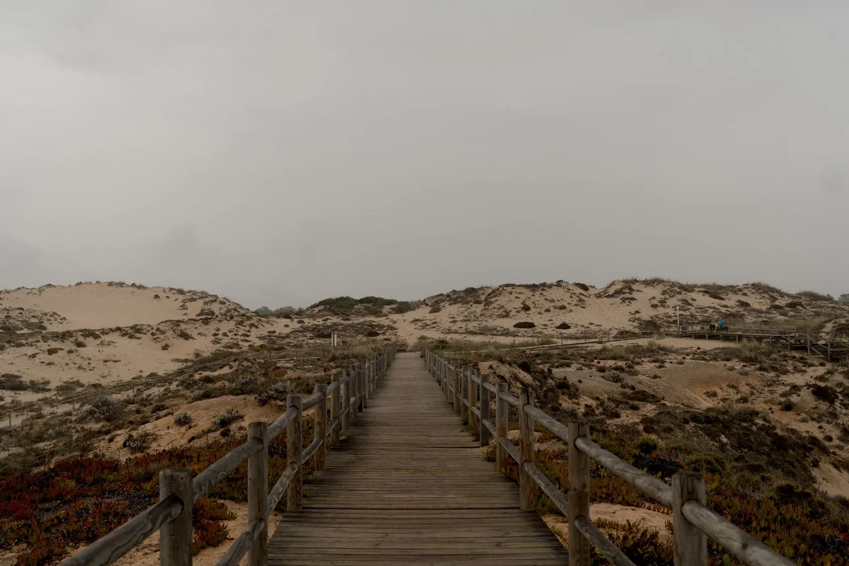 Comporta view 2