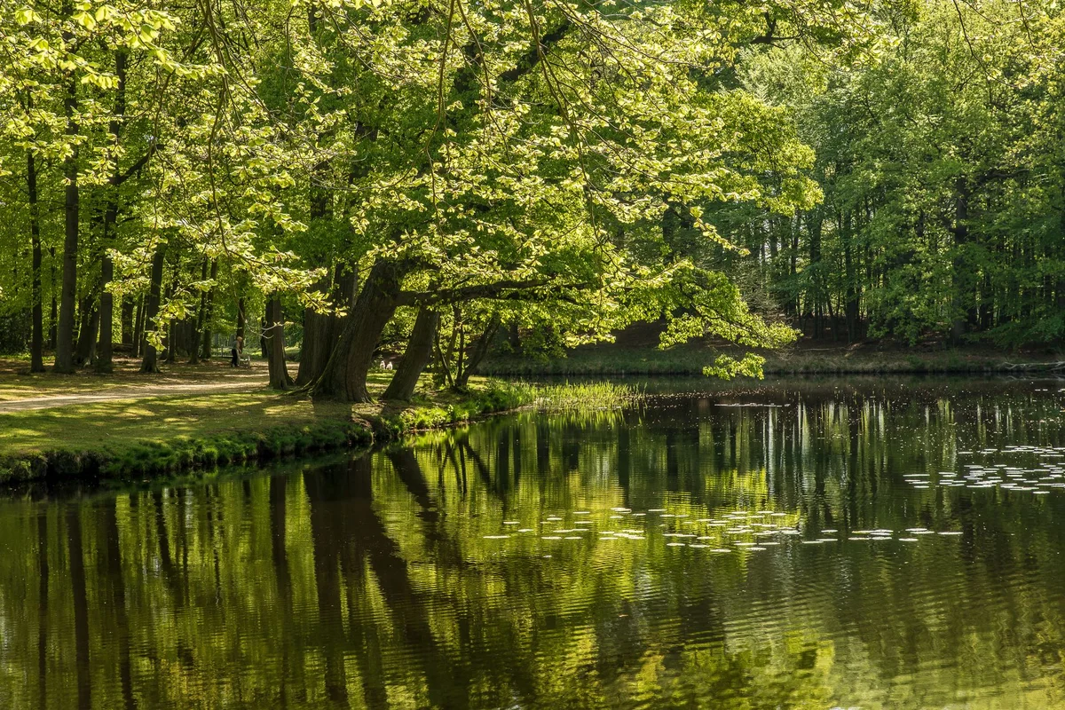 Serralves Foundation view 2