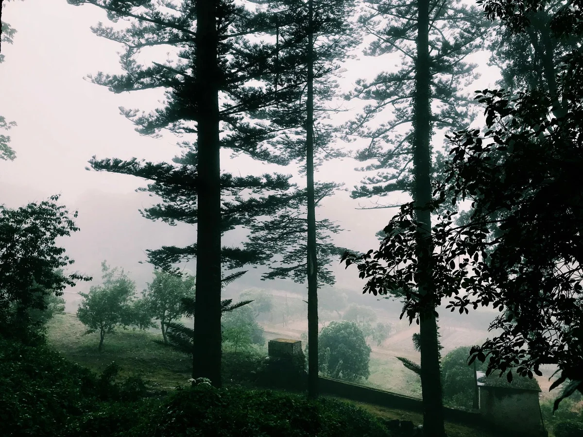 Jardim da Cordoaria view 1