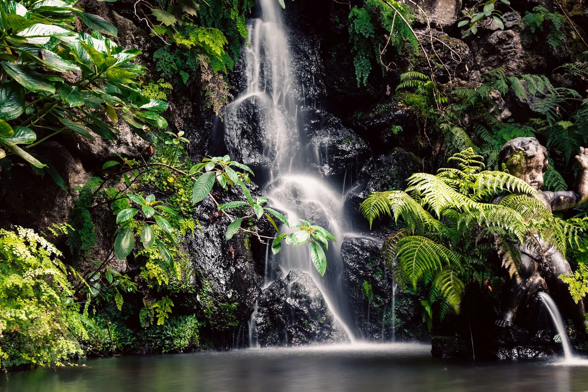 Jardim da Estufa Fria view 1