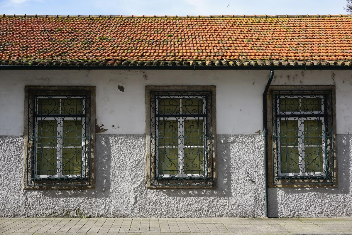 Mercado de Matosinhos view 2