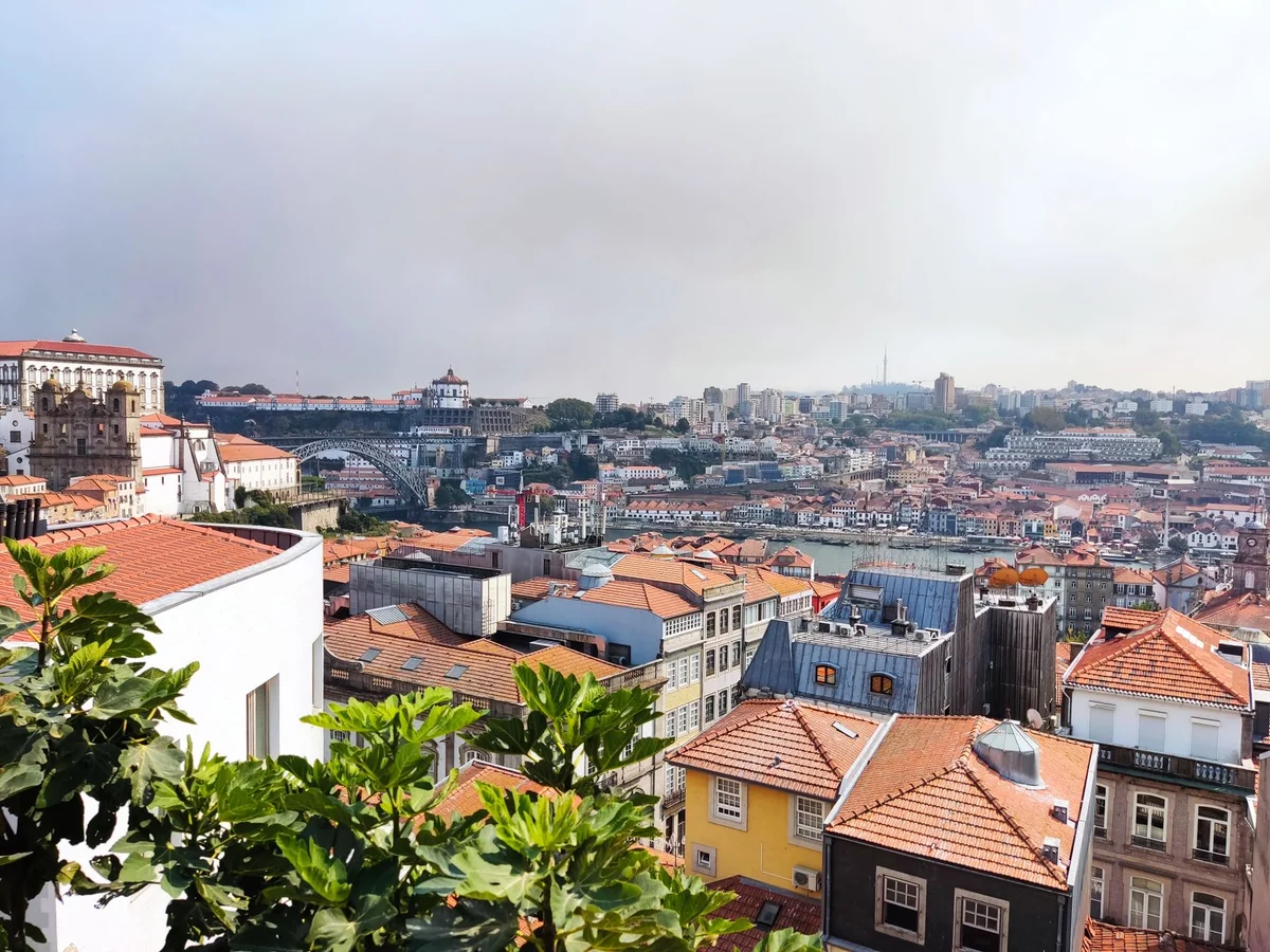 Mercado de Matosinhos view 1