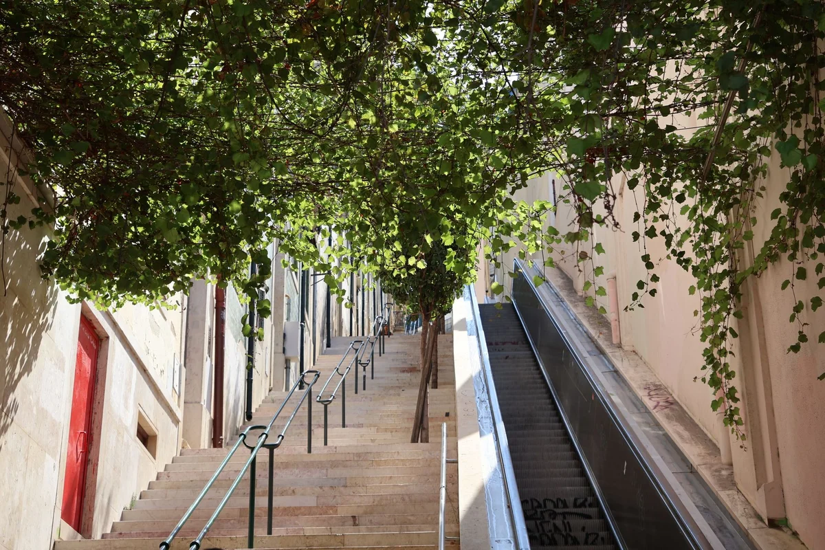 Calouste Gulbenkian Museum view 1