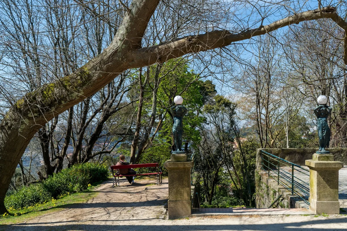 Serralves Museum of Contemporary Art feature