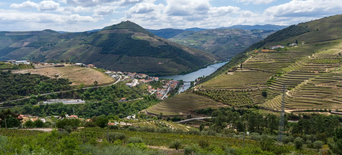 Pinhão feature