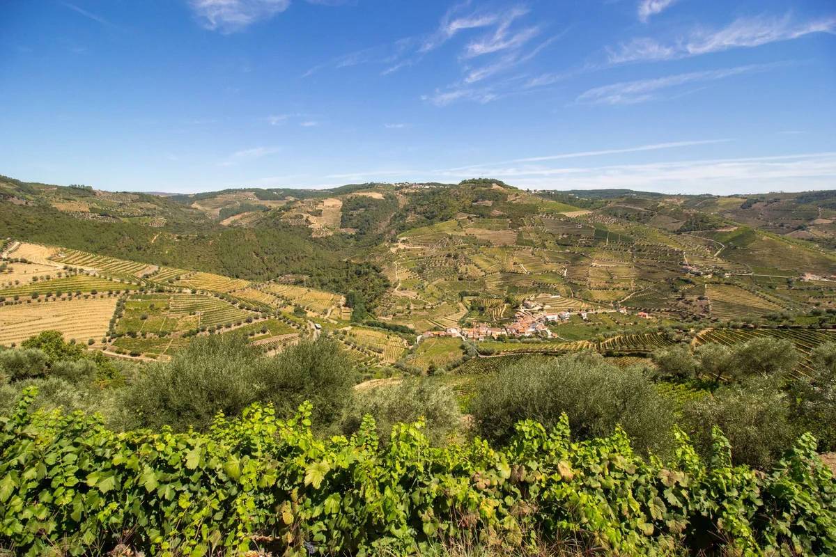 Quinta da Pacheca view 2