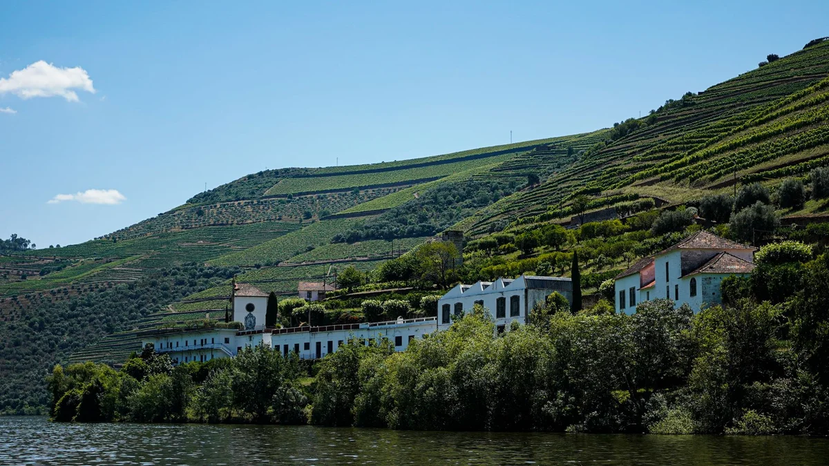Quinta da Pacheca view 1