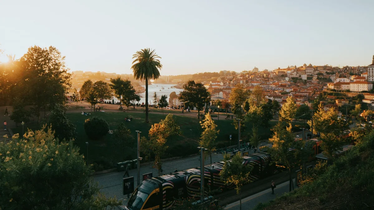 Rua Miguel Bombarda feature