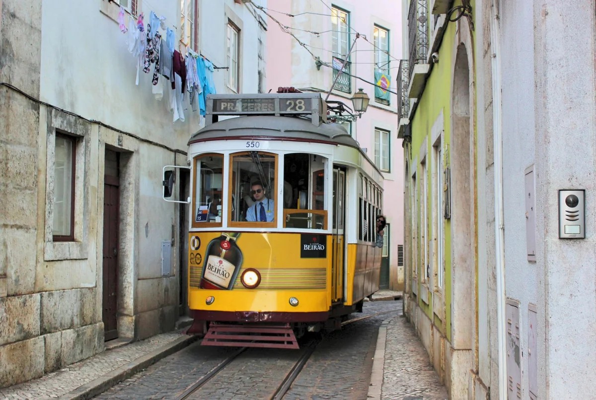 Sé de Lisboa feature