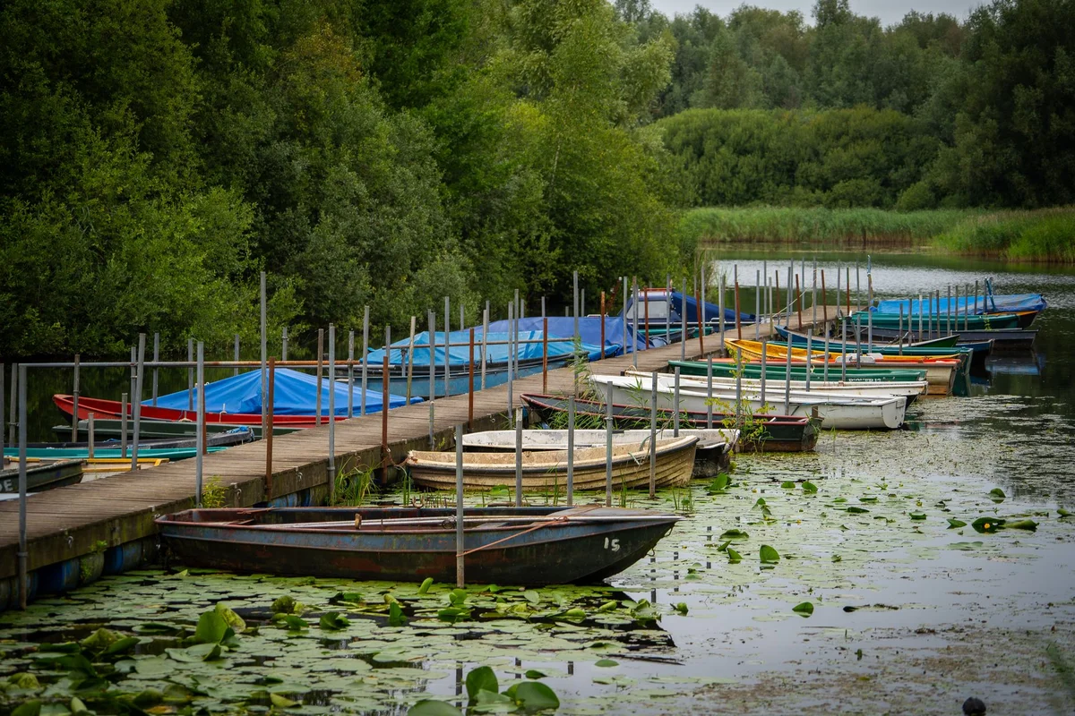 Cismigiu Gardens feature