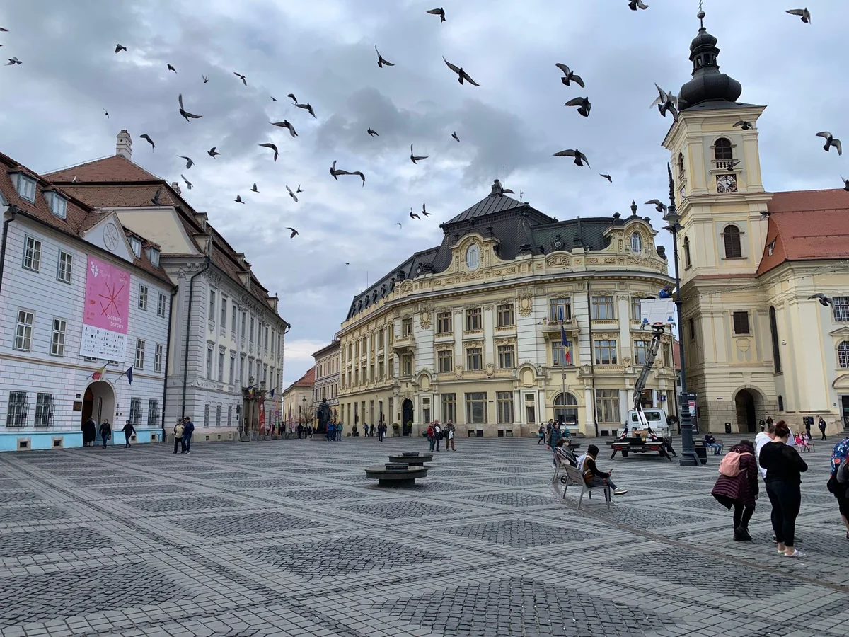 Large Square view 2