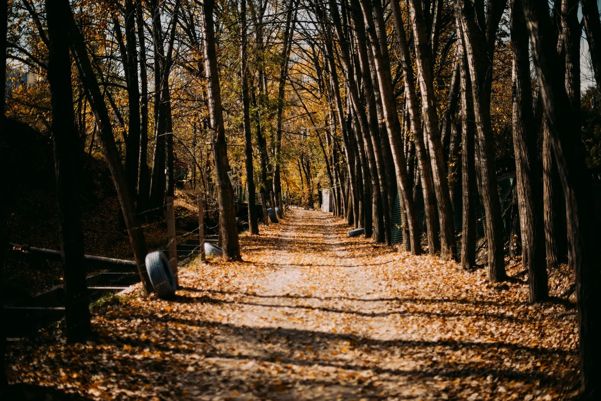 Alexander Park view 2
