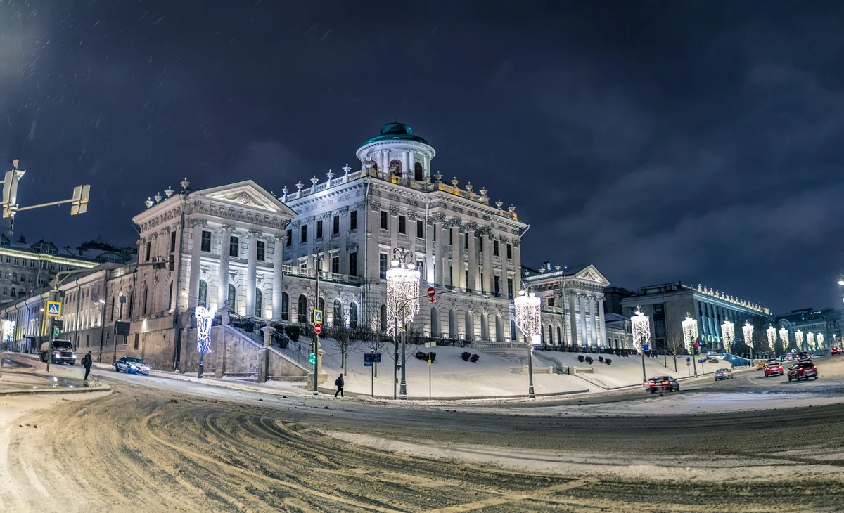 Pushkin State Museum of Fine Arts view 2