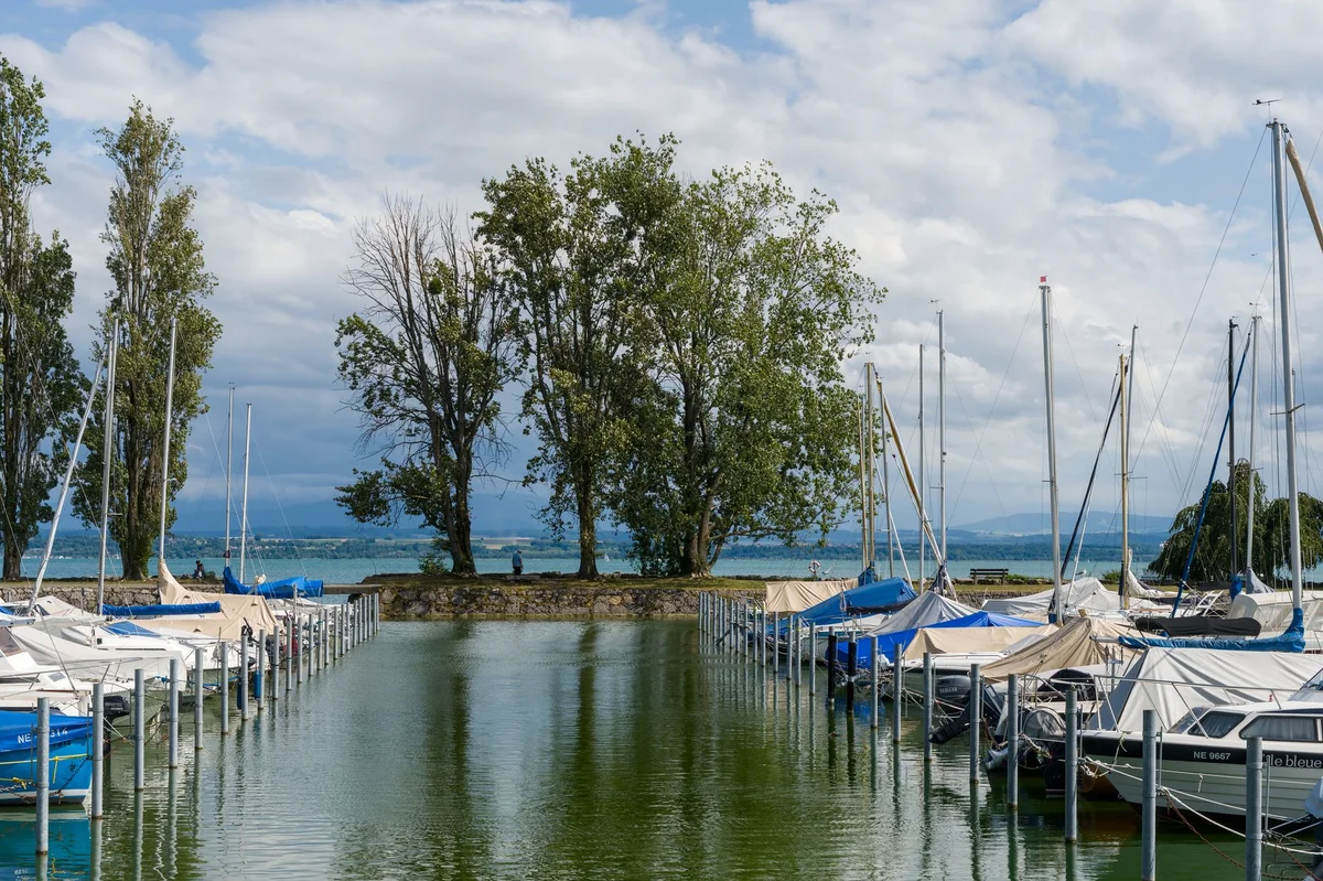 Palić Lake view 2