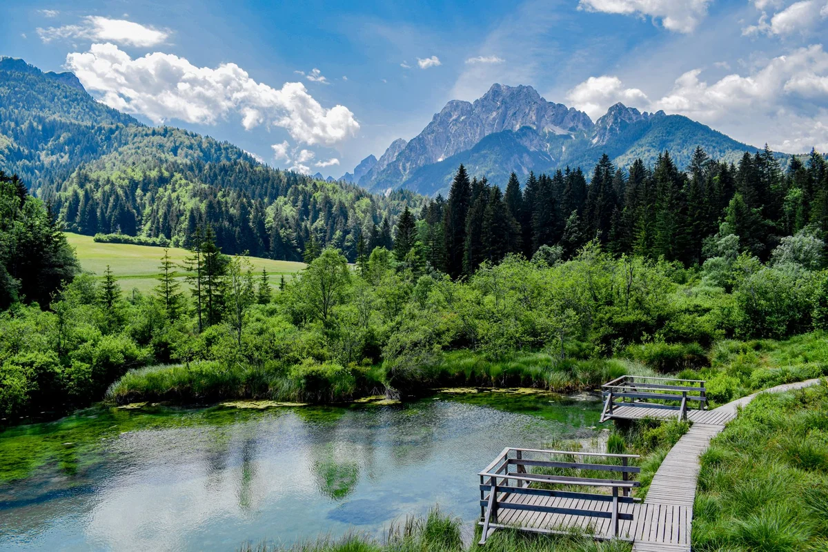Wild Lake view 1