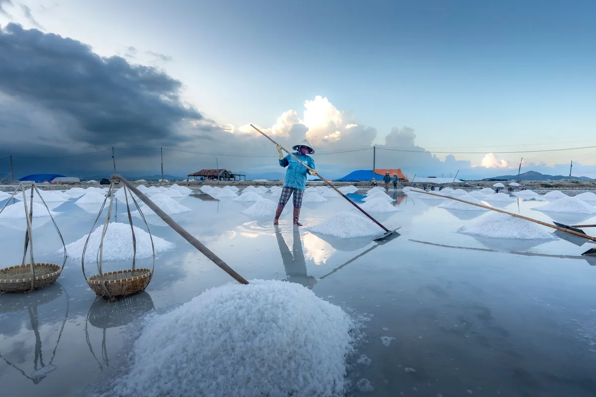 Sečovlje Salt Pans view 2