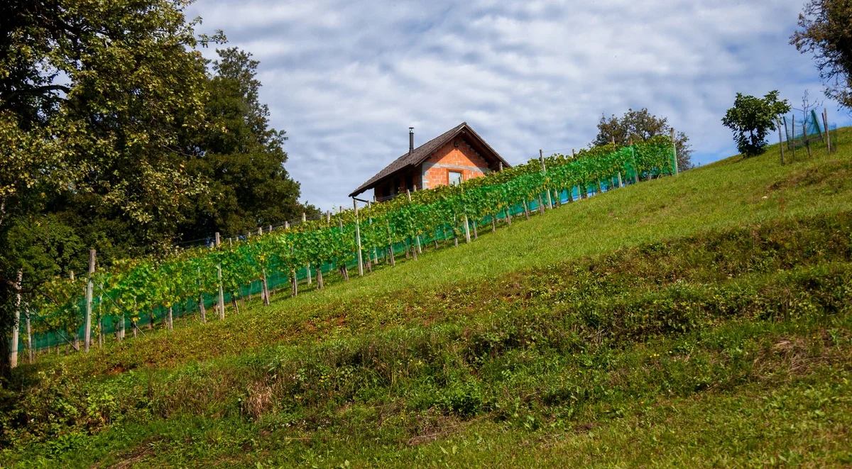 Šmartno Village view 1