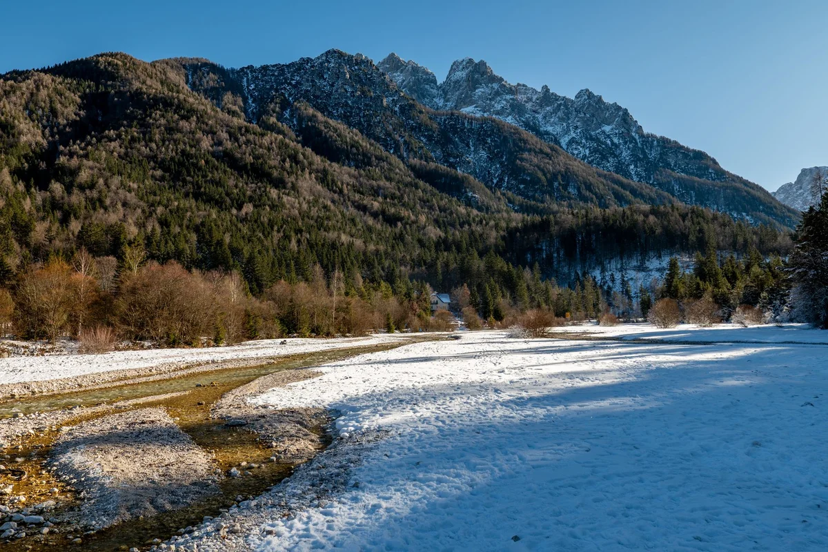Zelenci Nature Reserve feature