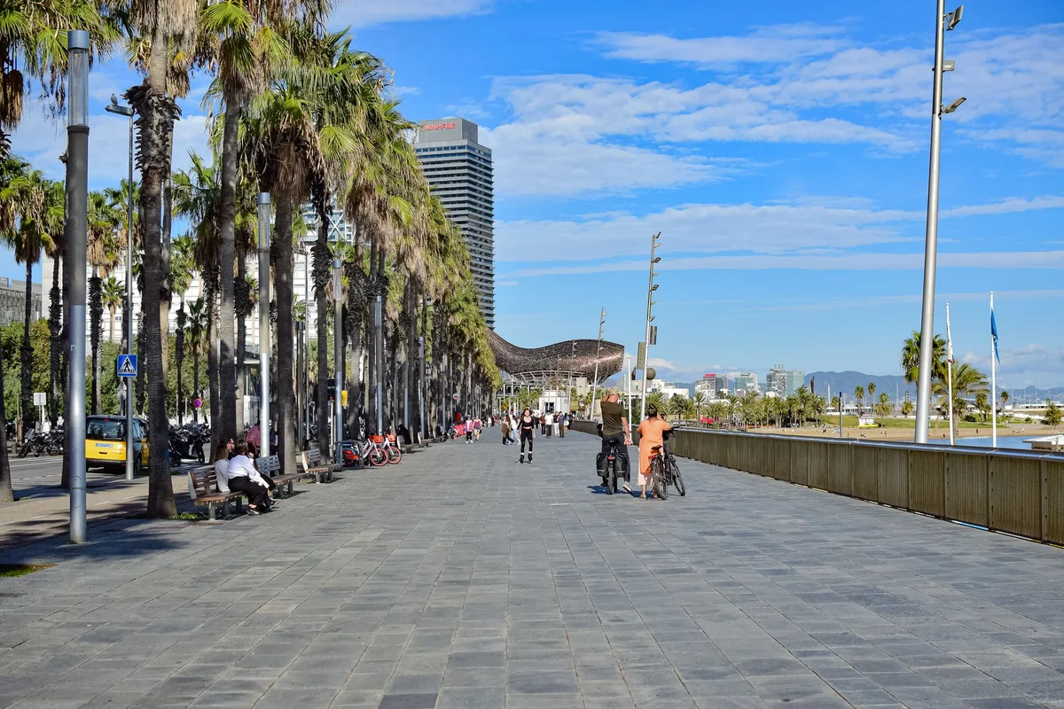 Barceloneta Beach feature