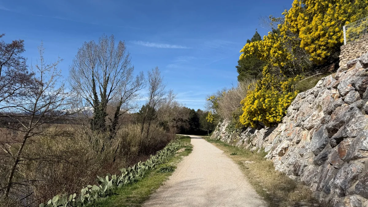 Botanical Garden of Barcelona view 2
