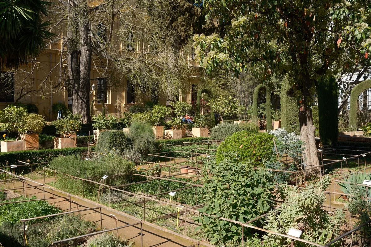 Botanical Garden of Barcelona feature