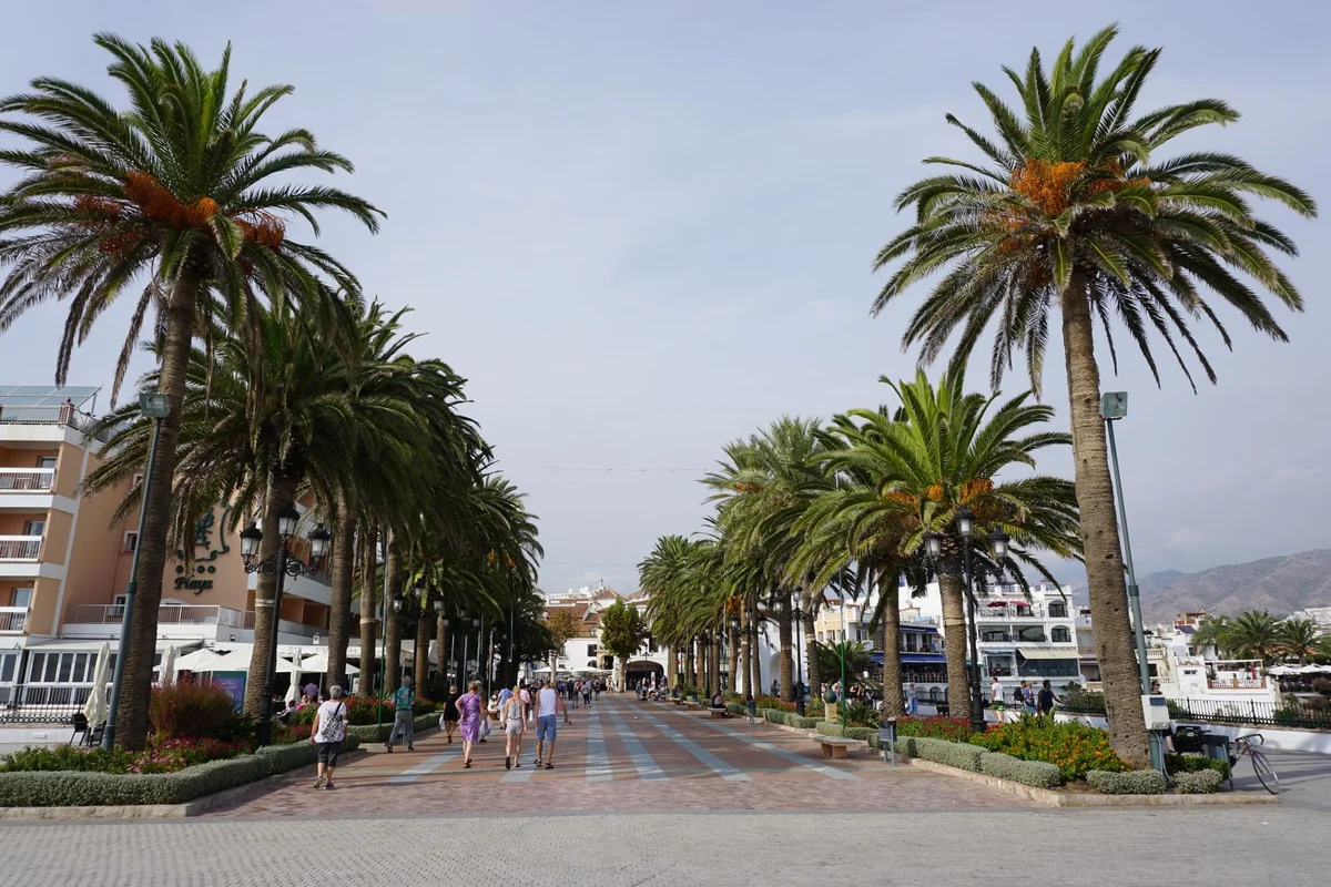 La Rambla view 2