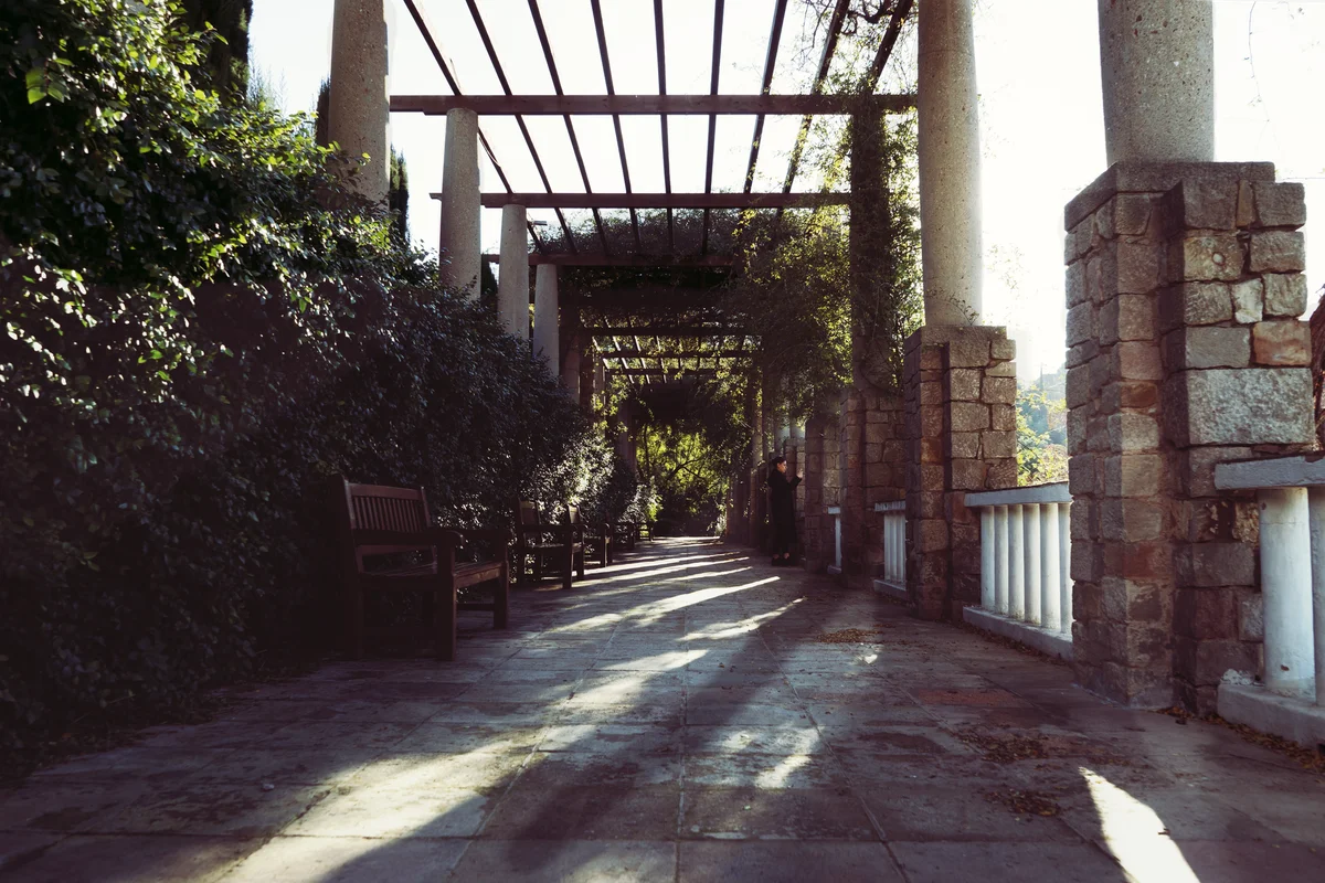 Real Jardín Botánico view 1