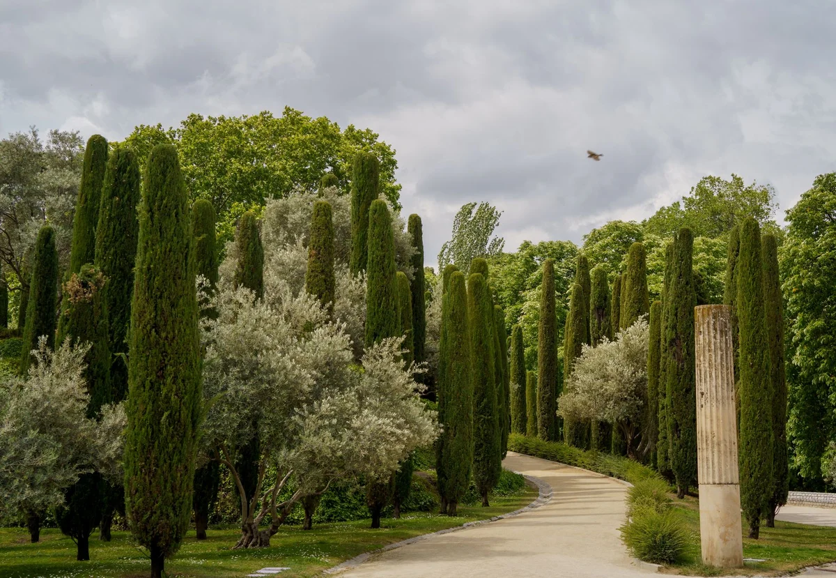 Real Jardín Botánico feature