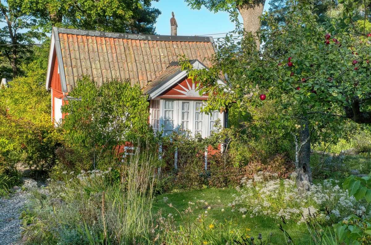 Djurgården feature