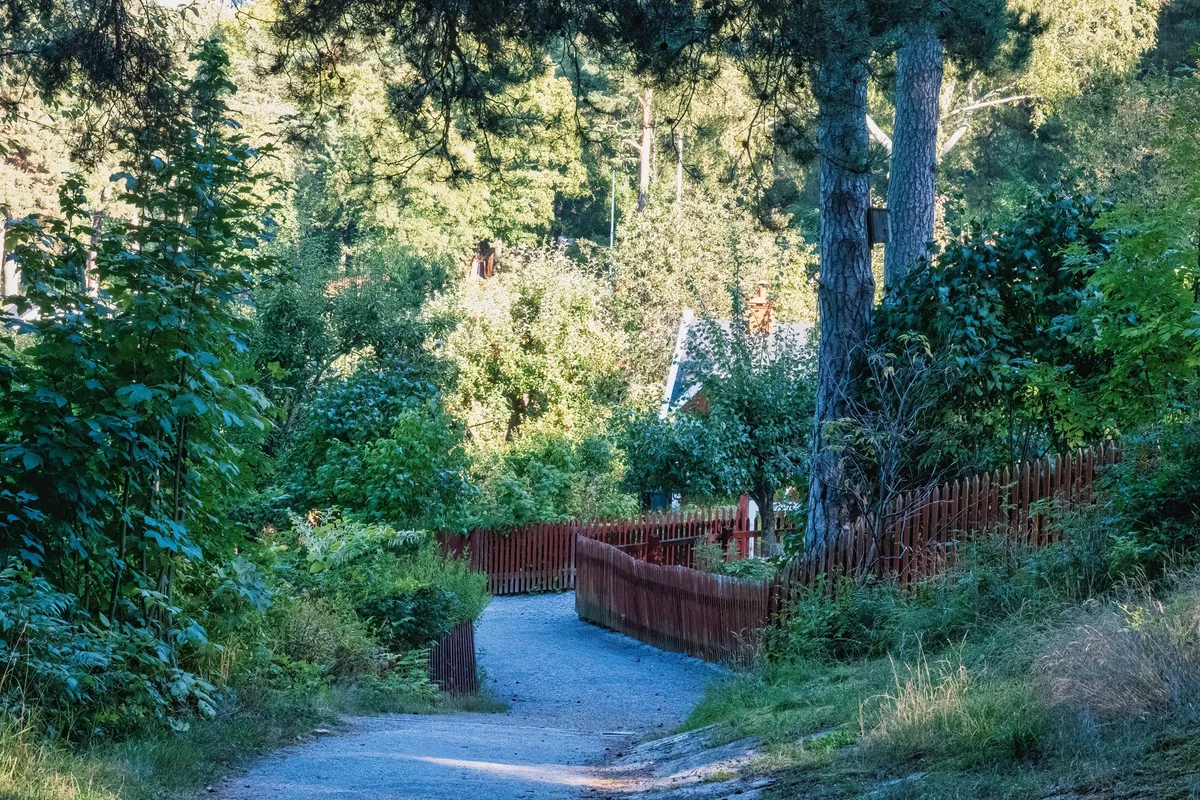 Djurgården view 2