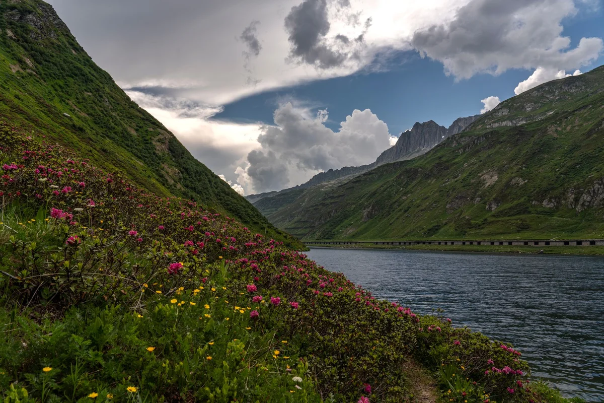 Bachalpsee view 1