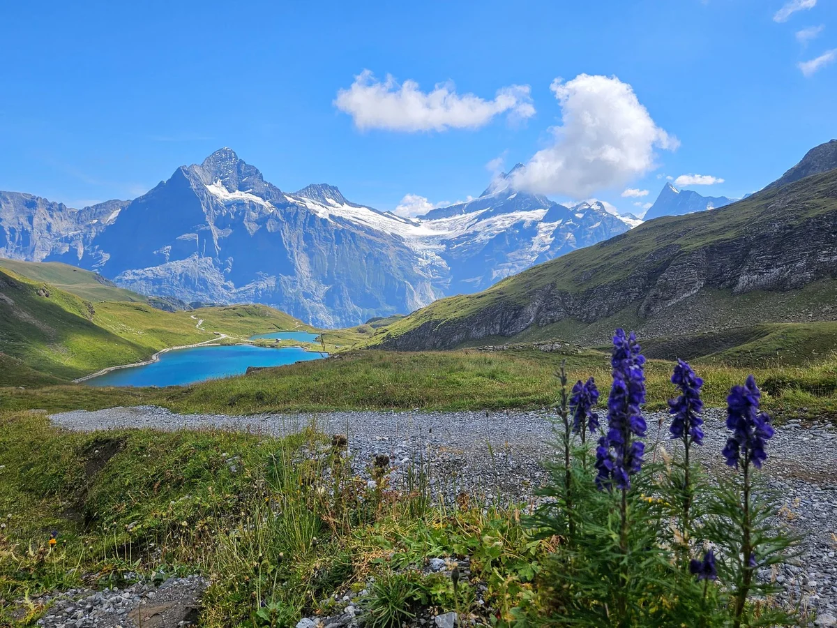 Bachalpsee feature